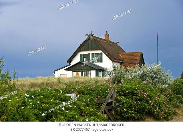 House in the nature reserve and peninsula Graswarder, Heiligenhafen, Schleswig-Holstein, Germany, Europe