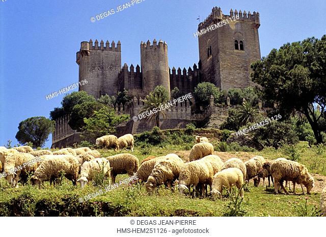 Spain, Andalusia, Almodovar del Rio, the castle was erected by the Arabs in the XIIth century and belongs nowadays to Opus Dei
