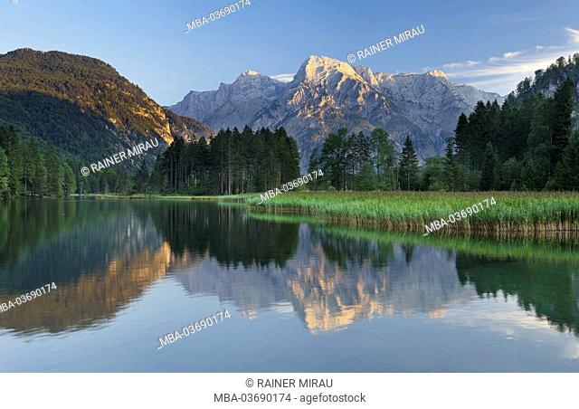 view to 'Totes Gebirge' (mountain range) from the 'Almsee' (lake), 'Almtal' (valley), Northern Limestone Alps, Upper Austria, Austria