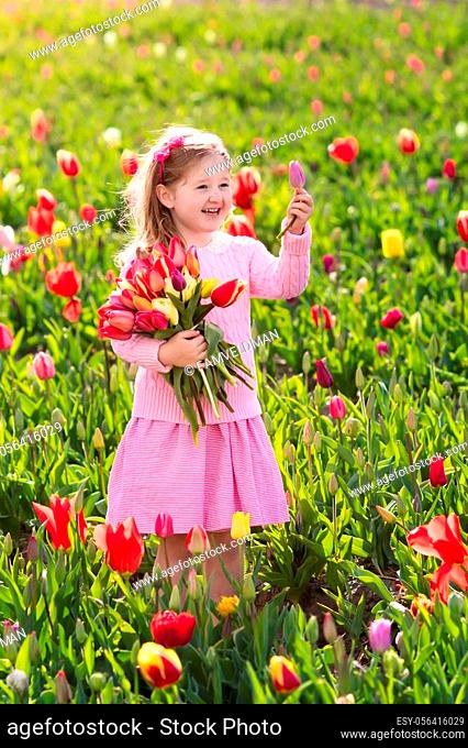 Child in tulip flower field. Little girl cutting fresh tulips in sunny summer garden. Kid with flower bouquet for mother day or birthday present