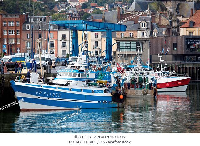 France, Région Normandie, Seine-Maritime, Pays de Caux, Dieppe, port depuis le Quai du Carénage, Pont Jehan Ango, Photo Gilles Targat