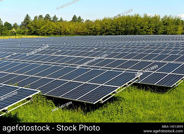 Solar panels in the solar park Vogtsburg, city Vogtsburg, Kaiserstuhl, Baden-Württemberg, Germany
