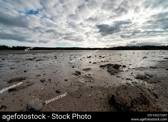 low tide ocean bed in the Bay of Fundy in Canada in the province of New Brunswick