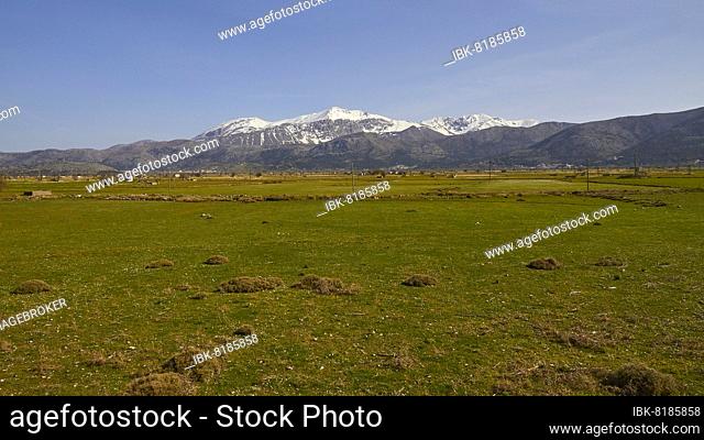 Spring in Crete, plateau, green meadow, snow-capped mountains, Dikte massif, blue sky, Lassithi, East Crete, island of Crete, Greece, Europe