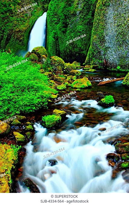 Wahclella Falls in the Columbia River Gorge National Scenic Area, Oregon
