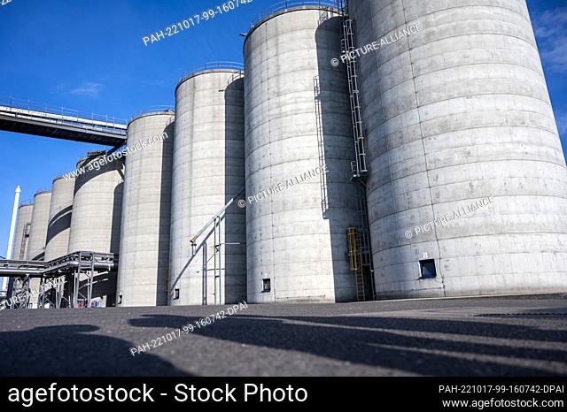 17 October 2022, Brandenburg, Schwedt: Silos for raw materials stand at the Verbio Vereinigte BioEnergie AG plant on the site of the PCK refinery