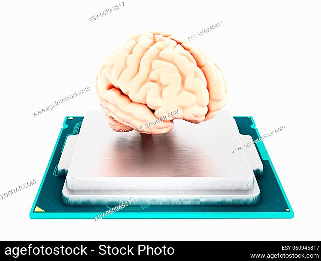 Microprocessor and human brain isolated on white background. 3D illustration