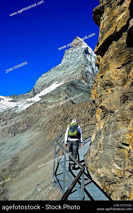 Passage mit Metallrosten für Wanderer auf dem Weg zur Hörnlihütte am Matterhorn, Zermatt, Wallis, Schweiz / Section of a metallic walkway for hikers on the...