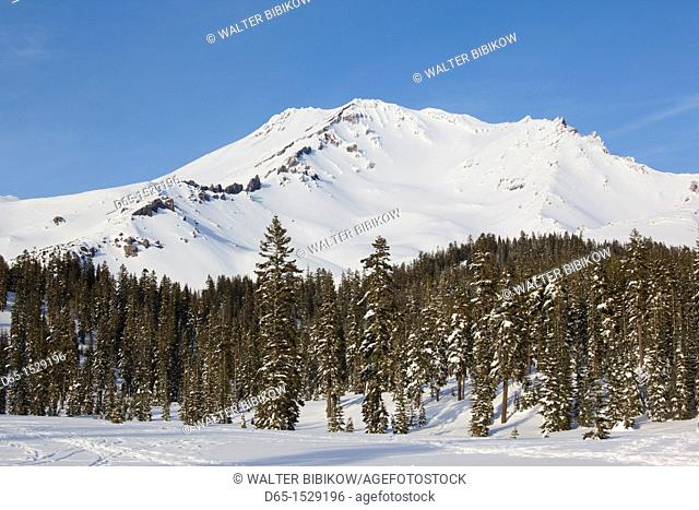 USA, California, Northern California, Northern Mountains, Mount Shasta, view of Mt  Shasta, elevation 14, 162 feet