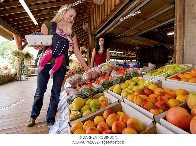 Touring mom and baby shop for fresh produce at Bear's Fruit Stand in Keremeos in the Similkameen region of British Columbia, Canada