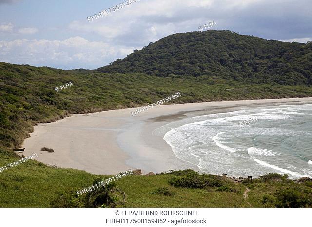 View of beach and forested coastline, Ilha do Mel, Parana, Brazil