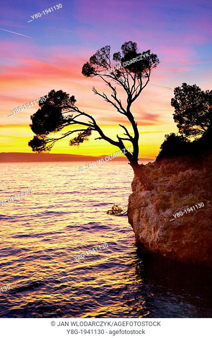 Croatia - Makarska Riviera Coast, Brela Stone on the beach, landscape at sunset time, Dalmatia, Croatia