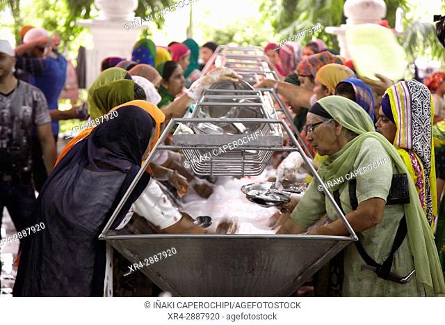 Women cleaning eating utensils. Dining Hall, Harmandir Sahib, Golden Temple, Amritsar, Punyab, India