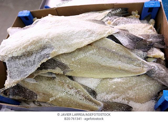 Salt cod, refrigerated and frozen salt cod distribution