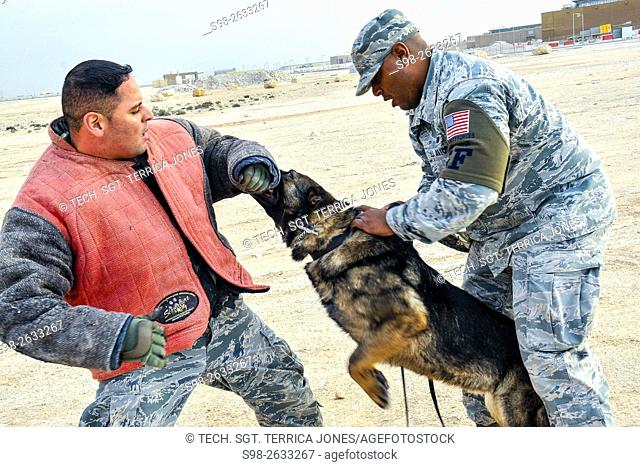 Air Force Tech. Sgt. Max Soto, left, and Staff Sgt. Jahmal Hardy practice patrol training with Nero, a military working dog, on Al Udeid Air Base, Qatar, Jan