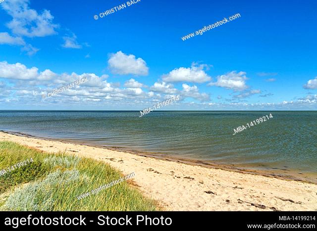 Beach on the Wadden Sea near Kampen, Sylt Island, Schleswig-Holstein, Germany
