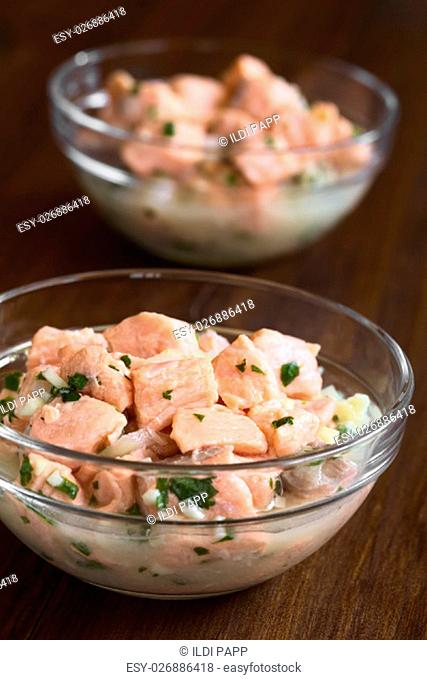 Chilean salmon ceviche prepared with onion, garlic, fresh coriander, salt and lemon juice, photographed with natural light (Selective Focus
