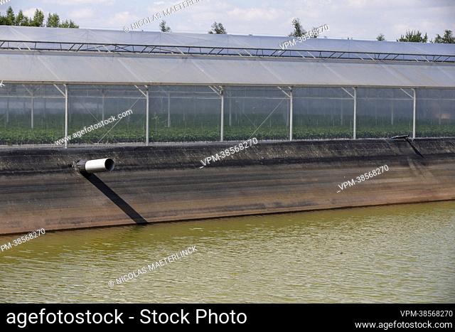 Illustration picture shows the water storage and greenhouses of a strawberry grower in Wortegem-Petegem, Monday 08 August 2022