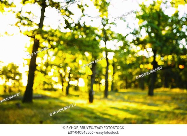 Abstract Summer Spring Natural Blurred Forest Background. Bokeh, Boke Woods With Sunlight