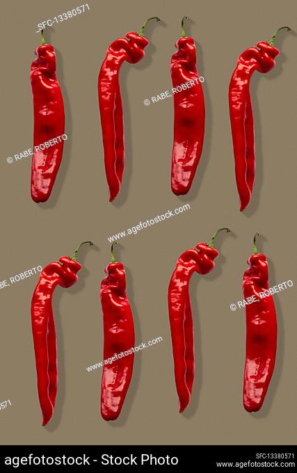 Two rows of red chillies on a brown background