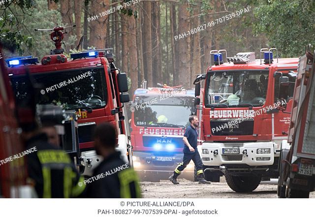 27 August 2018, Treuenbrietzen, Germany: Fire engines of the fire brigade stand in a forest near Treuenbrietzen. About 350 firefighters are still on duty to...