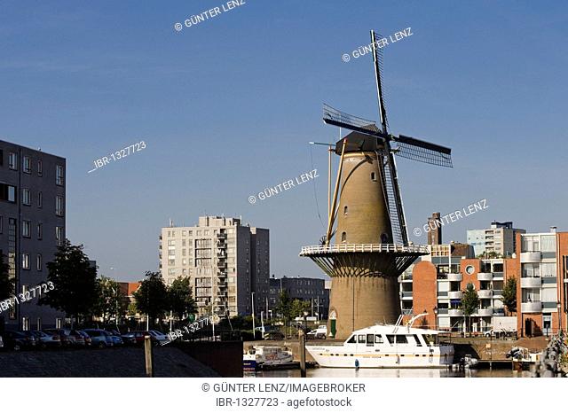 Delfshaven harbour, Rotterdam, South Holland, Holland, Netherlands, Europe