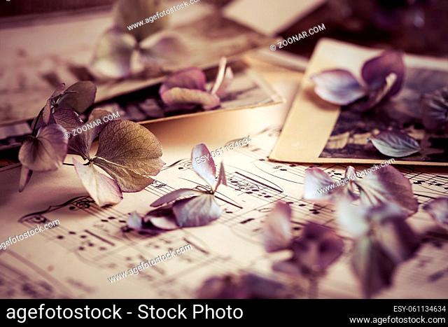 Memories - old and antique family photos dated to 1930 with old photo album and music notes with dried flowers in vintage style