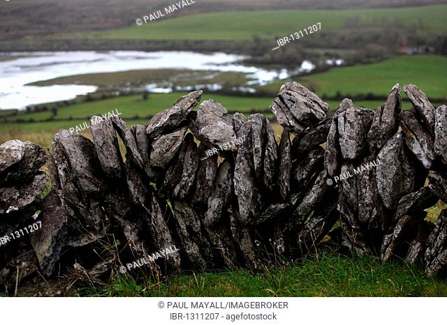 Stone wall fence and moorland, Ireland, Irish Republic, Europe