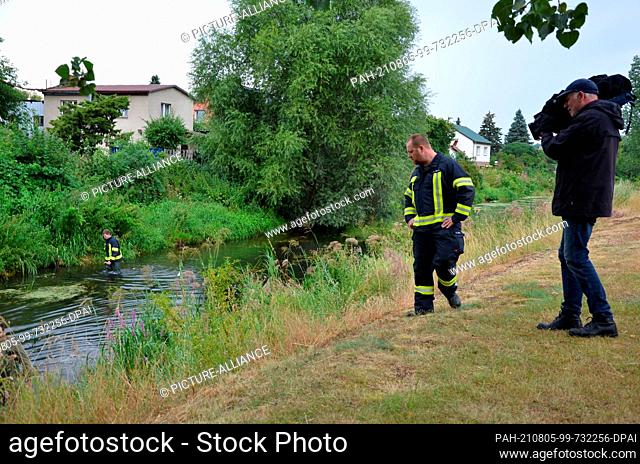05 August 2021, Saxony-Anhalt, Haldensleben: Firefighters search in the Ohre for the escaped reticulated python. The snake had escaped from an apartment in the...