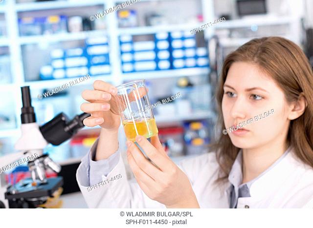 Student examining egg yolk in a laboratory