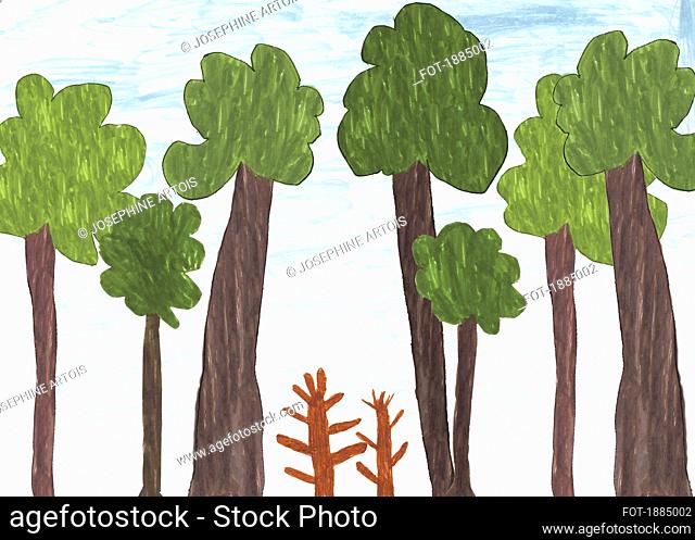 Childs drawing of big and small trees
