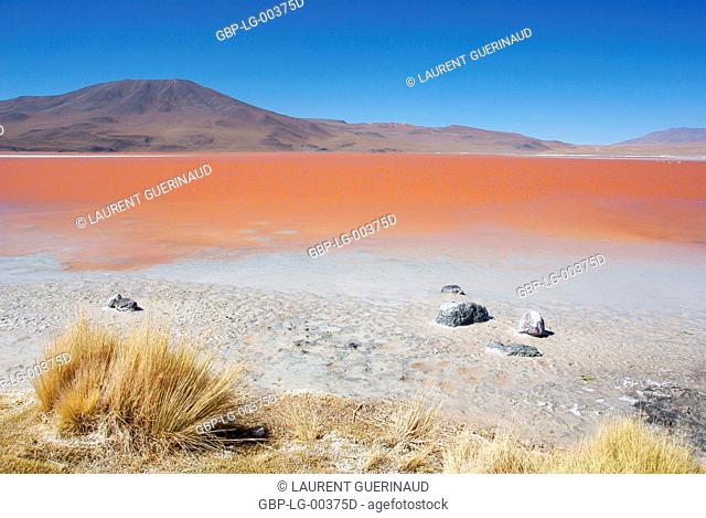 Laguna Colorada, Reserves national of Andean fauna Eduardo Abaroa, Desert of Lipez, Department of Potosi, Sud Lipez Province, La Paz, Bolívia