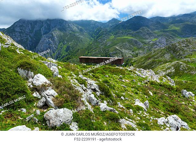 Reintroduction project of Bearded Vulture in the Cantabrian Mountains , Picos de Europa National Park, Asturias, Spain, Europe