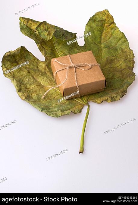 Gift box of brown color placed on a large dry leaf