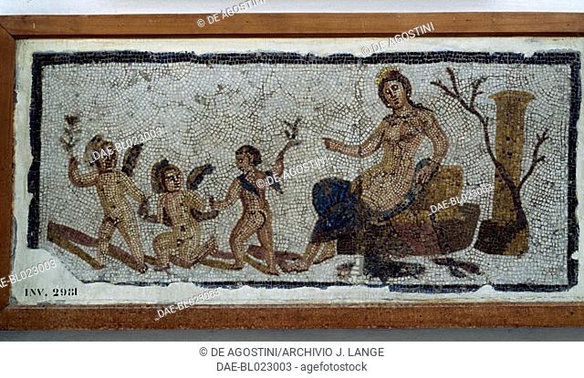 Venus, mosaic from Utica, Tunisia. Roman civilisation, 2nd-3rd century AD.  Tunis, Musée National Du Bardo (Archaeological Museum)