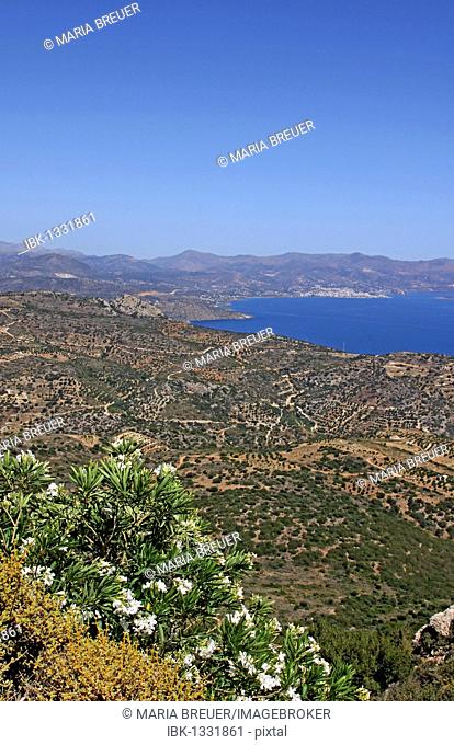Gulf of Mirambello, in the back Agios Nikolaos, view from the terrace, Moni Faneromenis, monastery, Crete, Greece, Europe