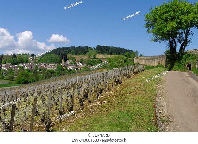 Burgundy village on the road ""Grands Crus"". Village near Beaune Cote d'Or