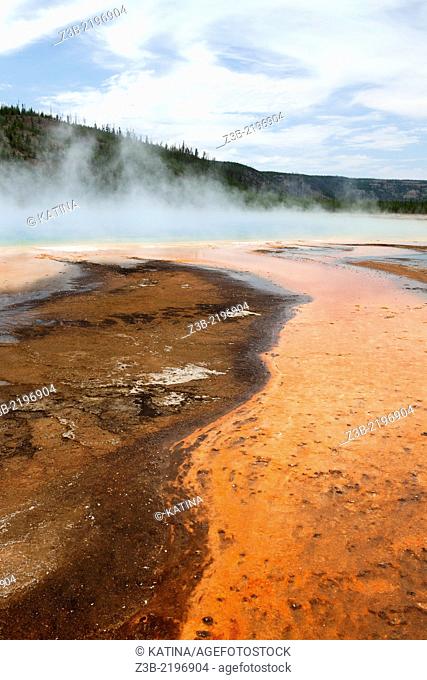 Grand Prismatic Spring in Yellowstone's Midway Geyser Basin, Yellowstone National Park, Wyoming, USA