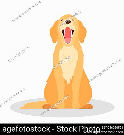 Cute yawning sleepy dog. Purebread golden retriver sitting, Stock Vector,  Vector And Low Budget Royalty Free Image. Pic. ESY-056020521 | agefotostock