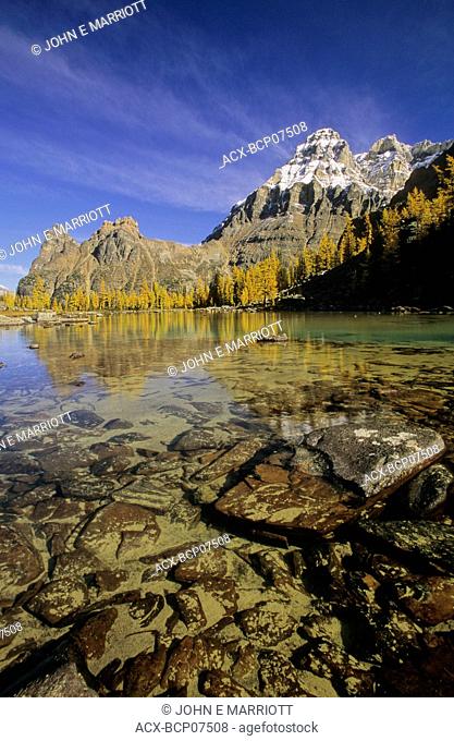 Mount Huber, the Opabin Plateau and autumn larches, Lake O'Hara region, Yoho National Park, British Columbia, Canada