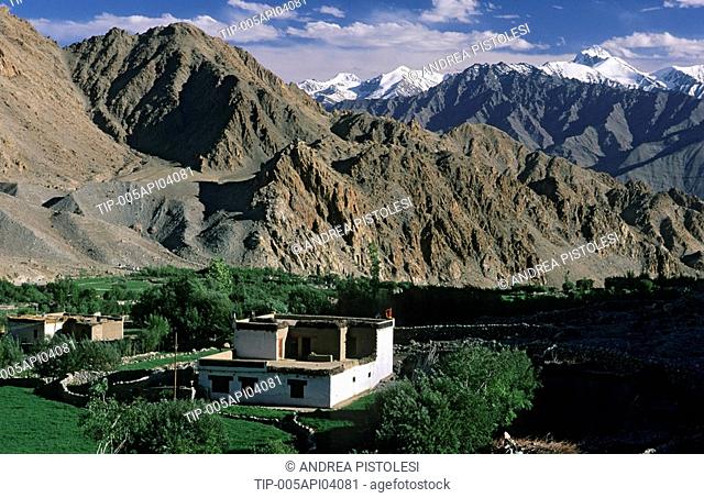 India, Jammu and Kashmir, Ladakh, Phyang village