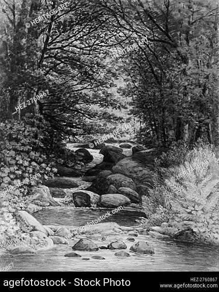 A Forest Cascade at Hiram, Maine, 1859. Creator: Henry Hitchings