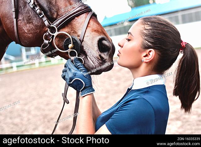 Close up hands of woman hugging a horse. Young girl petting her horse in stable. Equine therapy concept. Love between people and animals