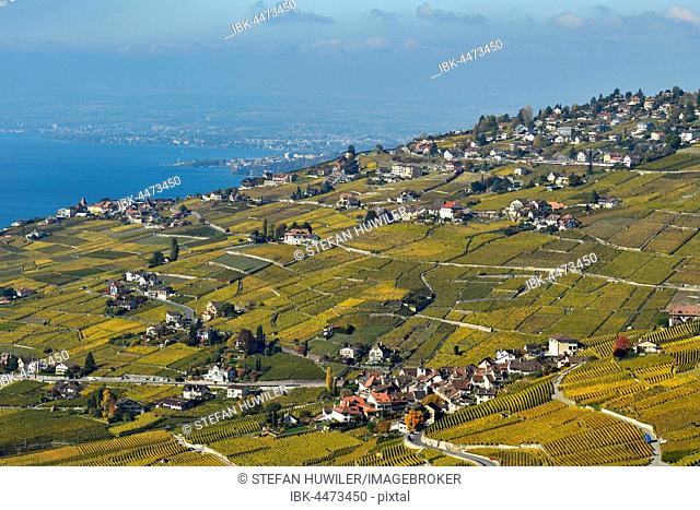 Vineyards in autumn with view of the wine-producing village Riex, Lavaux, Canton of Vaud, Switzerland