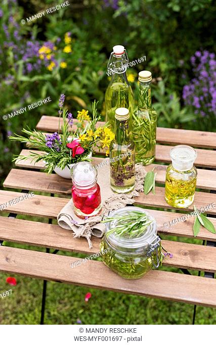 Different herb oils, thyme, rose, lavender, salve, rosemary and saint john's wort