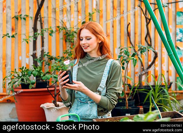 Home gardening concept. Young woman plants floral in greenhouse