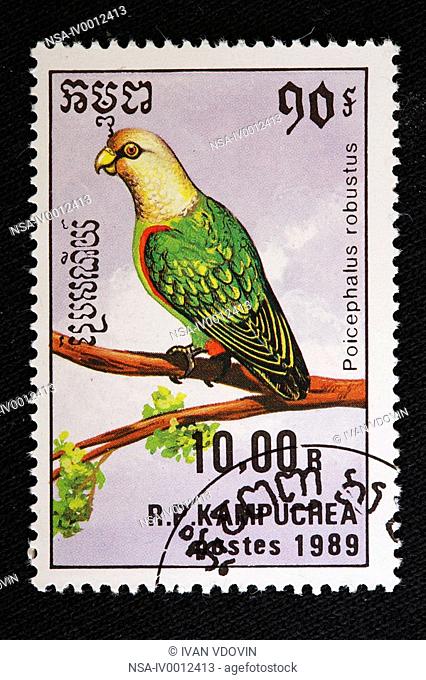 Cape Parrot Poicephalus robustus, postage stamp, Cambodia Kampuchea, 1989