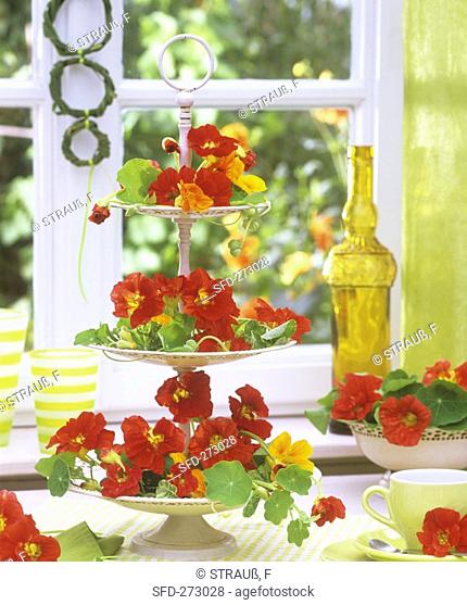Red nasturtium flowers on a white tiered stand