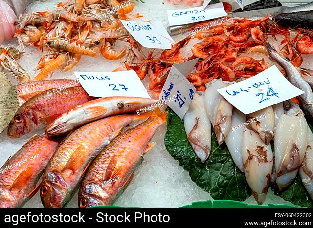 Fish, squid and prawns for sale at a market in Barcelona