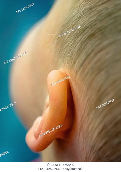 Closeup of an ear of a little Caucasian boy